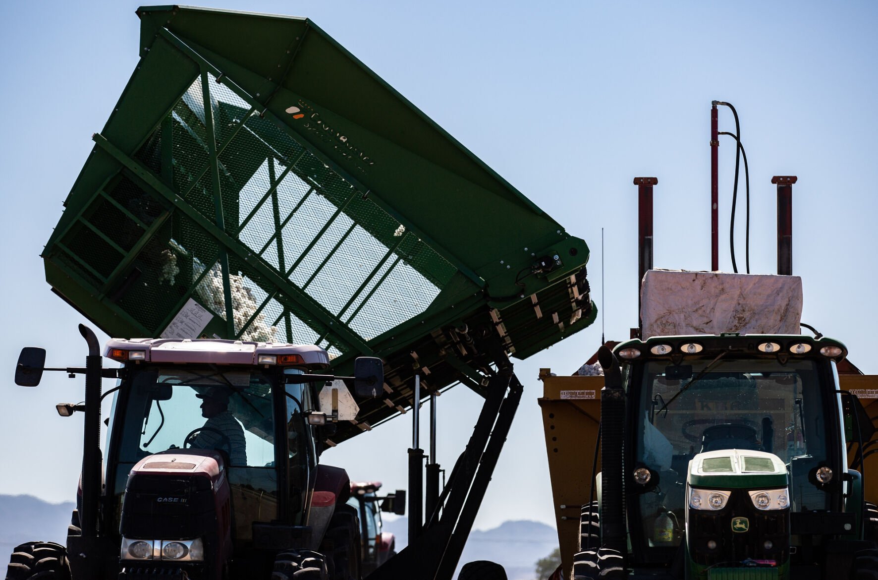 Cotton Harvest
